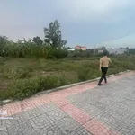 Bán lô đất sân vườn 358.8m² mặt tiền Tam Long, Bà Rịa - Vũng Tàu - Ảnh thu nhỏ 3