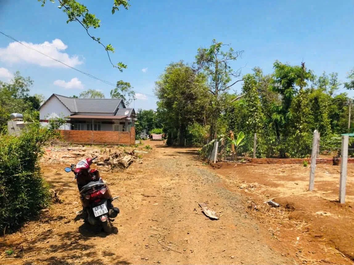 Bán lô đất 10x46m giá 579 triệu gần trục chính Ea Tiêu, Cư Kuin, Đắk Lắk - Ảnh thu nhỏ 2