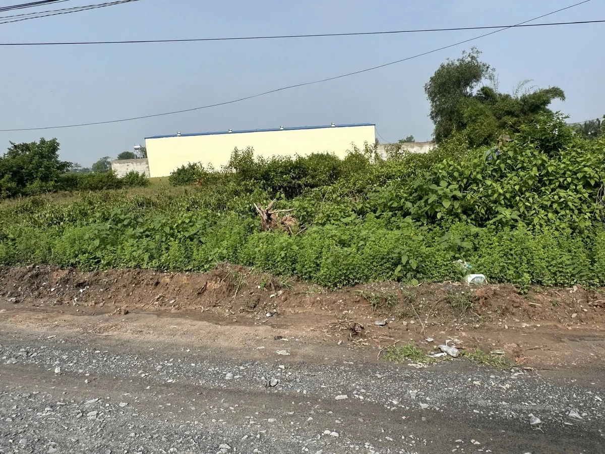 Bán đất nền Đức Hòa sát QL N2, 950 triệu/lô - Ảnh thu nhỏ 2