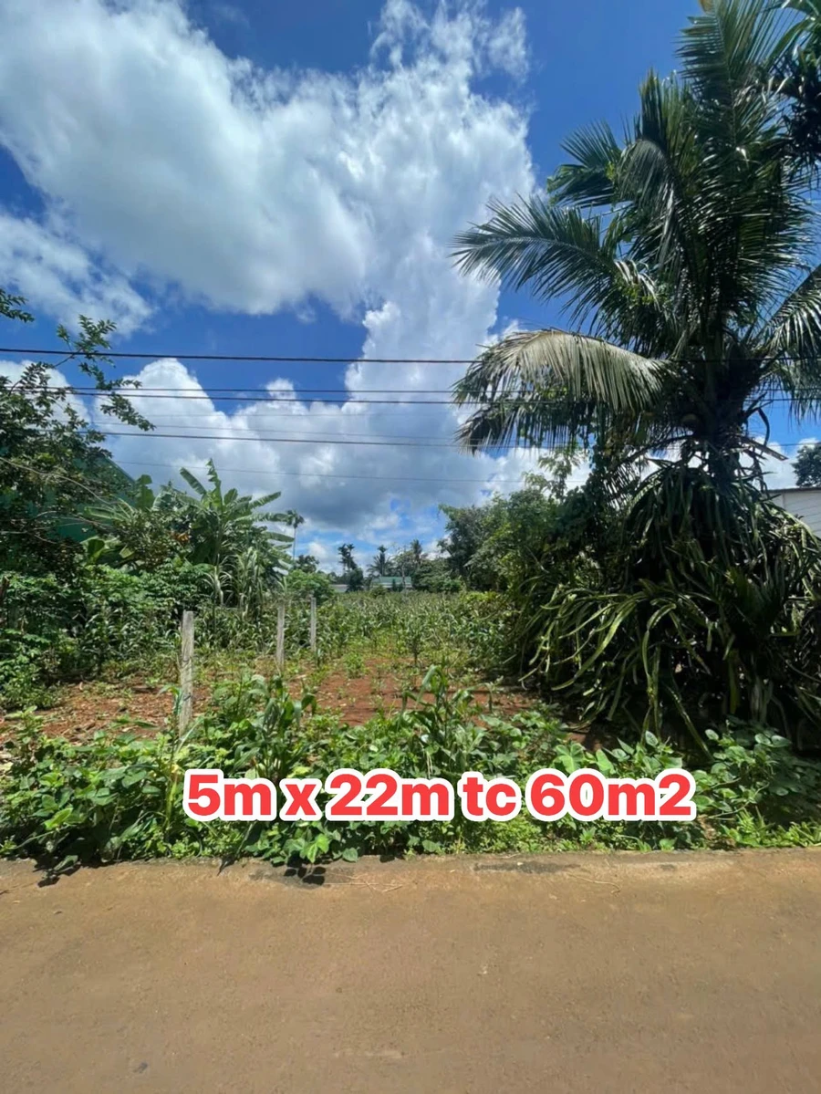 Bán đất mặt tiền đường D4 Kotam 5x22 giá 979 triệu, Phường Tân An, Đắk Lắk - Ảnh thu nhỏ 4