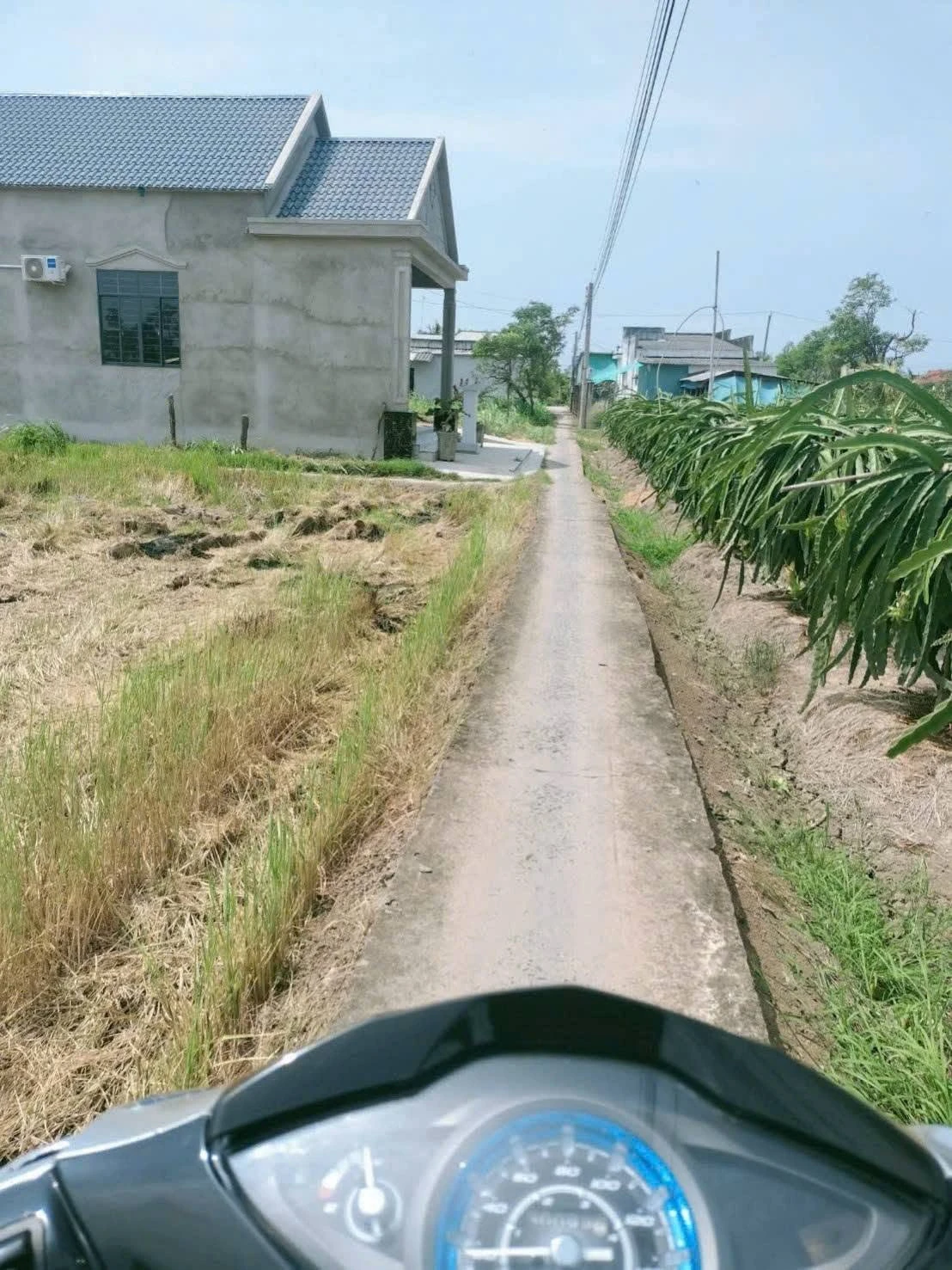 Bán 1760m² ruộng mặt tiền Kiểng Phước, Tiền Giang - Ảnh 1