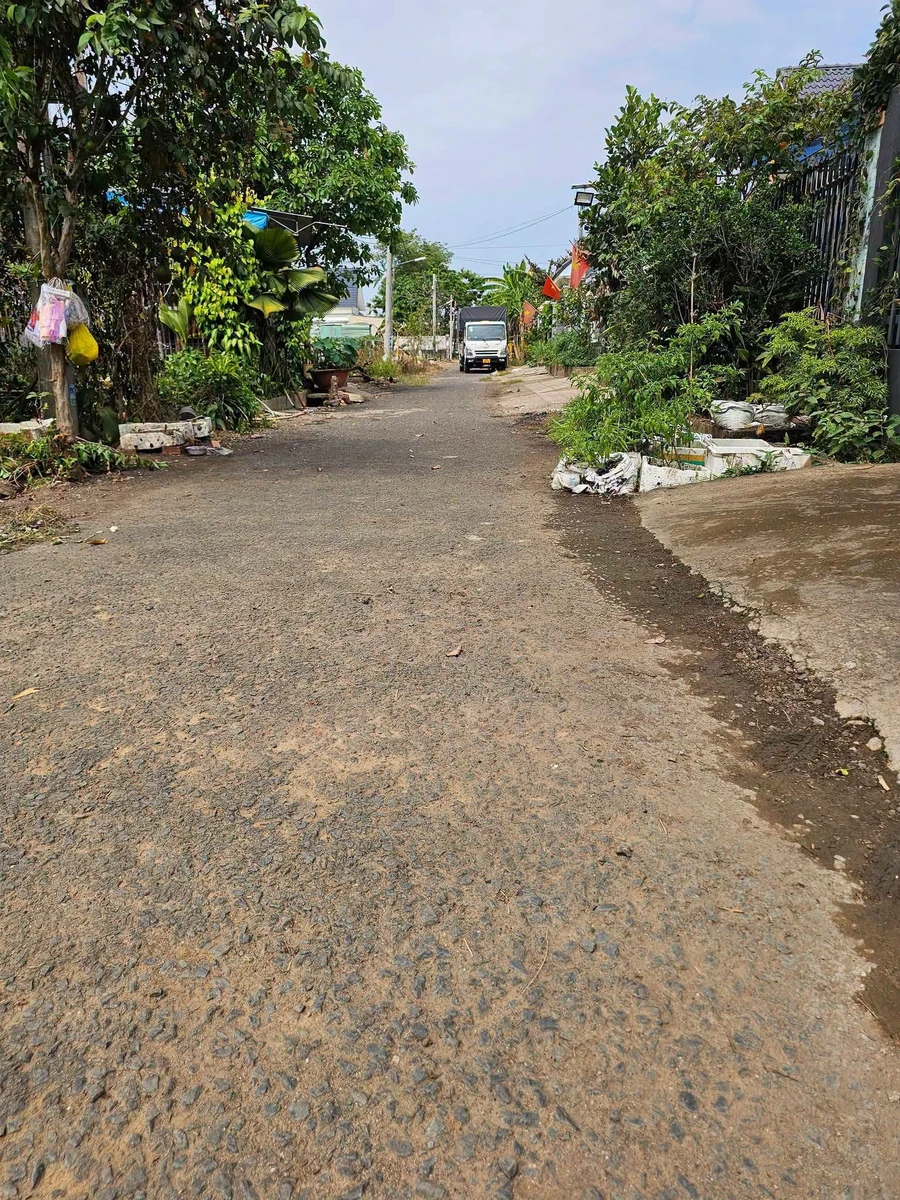 Bán lô đất 250 m² Phường Bình Phước, Đồng Nai, 1.5 tỷ - Ảnh thu nhỏ 4