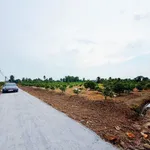Bán đất Bến Lức Long An 486m2 gần Sông Vàm Cỏ Đông - Ảnh thu nhỏ 4