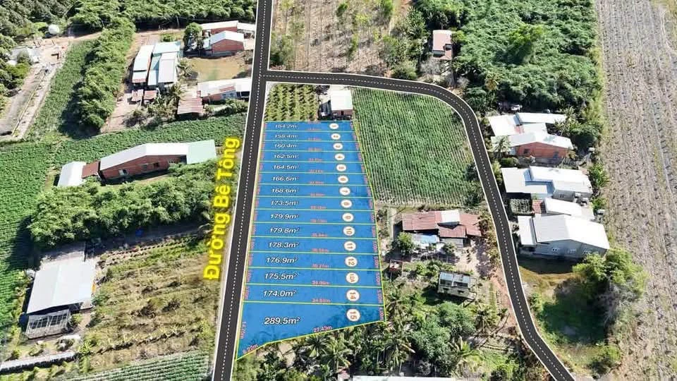 Bán đất thổ cư 5x33 (165m²) 200 triệu Tây Ninh - Ảnh thu nhỏ 4
