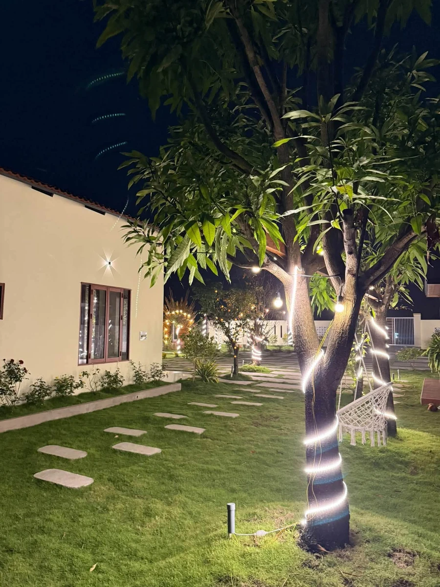 Bán đất vườn có nhà 1.606m² cách Phan Thiết 9km, giá 1 tỷ 850 triệu - Ảnh thu nhỏ 3