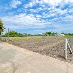Bán 430m2 đất vườn thổ cư sổ hồng riêng tại Mỹ Lộc, Cần Giuộc, Long An giá 1,65 tỷ - Ảnh thu nhỏ 1