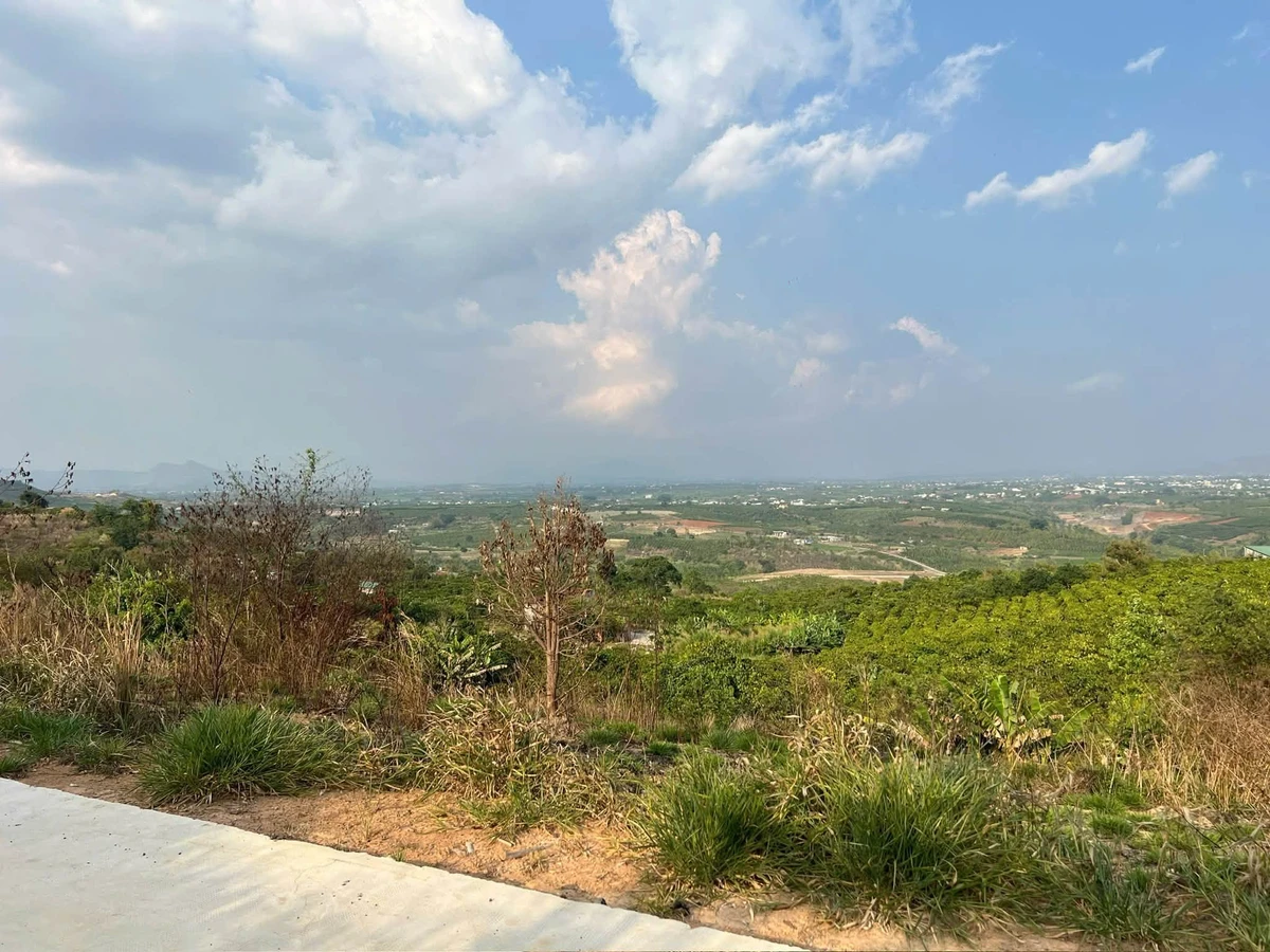 Bán 1017m² đất Tân Hà Lâm Đồng view sân bay 750 triệu - Ảnh thu nhỏ 4