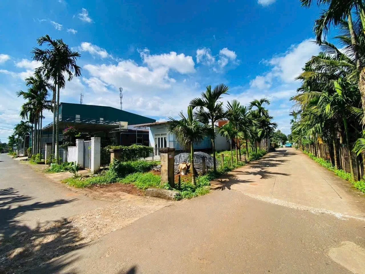 Bán đất góc 2 mặt tiền đường 4A Đạt Lý 156m² - 1,69 tỷ - Ảnh thu nhỏ 2
