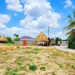Bán đất thổ cư 8x19m view sông gần bờ kè sông Đồng Nai, giá 2 tỷ - Ảnh thu nhỏ 2