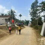 Đất cực đẹp tại phố Cao Phong, Ngọc Lặc, 200 triệu, 146.5m2 giá siêu hời - Ảnh thu nhỏ 5