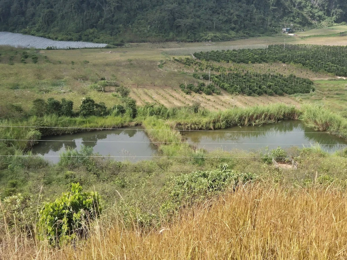 Bán đất Tân Yên Sơn La 50000m² giá 11 tỷ view đẹp - Ảnh thu nhỏ 4