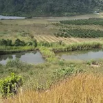 Bán đất Tân Yên Sơn La 50000m² giá 11 tỷ view đẹp - Ảnh thu nhỏ 4