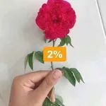 Bán nhà lầu 3 phòng ngủ 60m2 Trấn Biên, Đồng Nai - Ảnh thu nhỏ 1