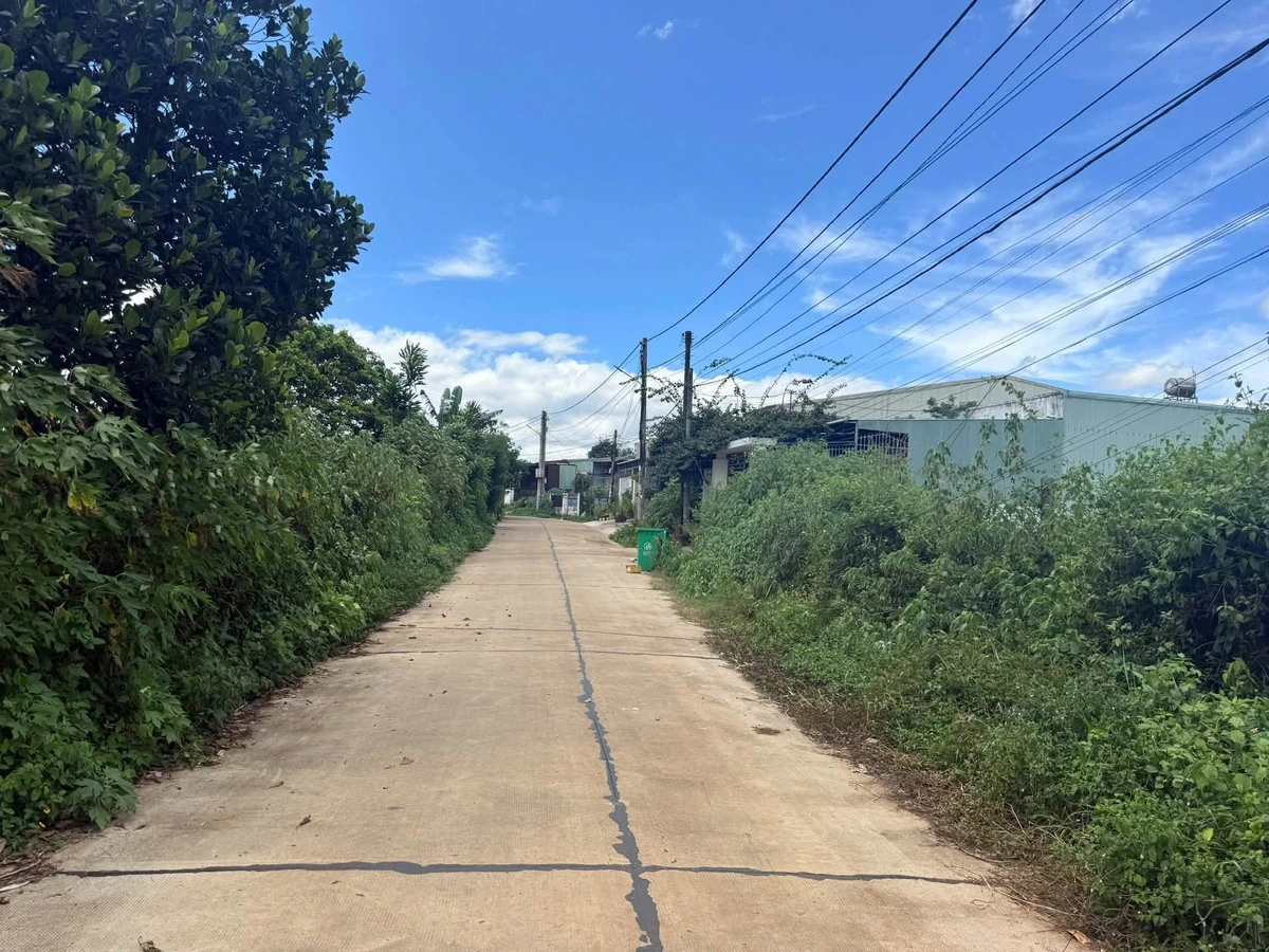 Bán đất 220m² full thổ cư Phường Diên Hồng 660 triệu - Ảnh thu nhỏ 2