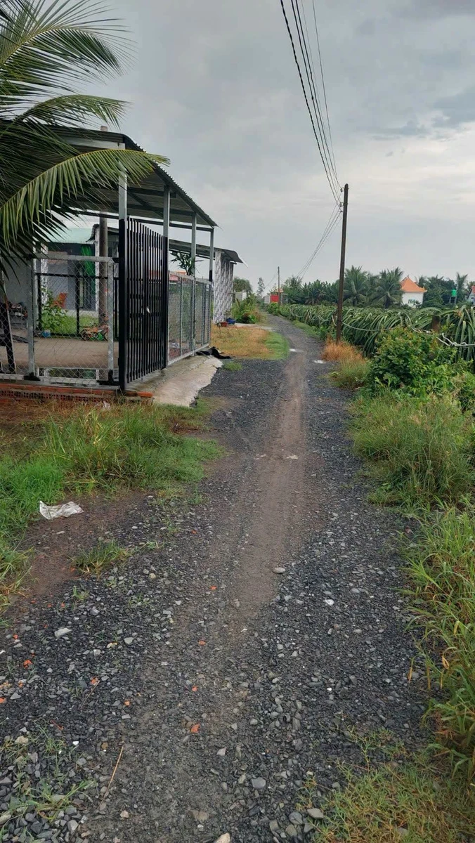 Bán lô đất thổ cư 133 m2 Mỷ An, Thủ Thừa, Long An - Ảnh thu nhỏ 4