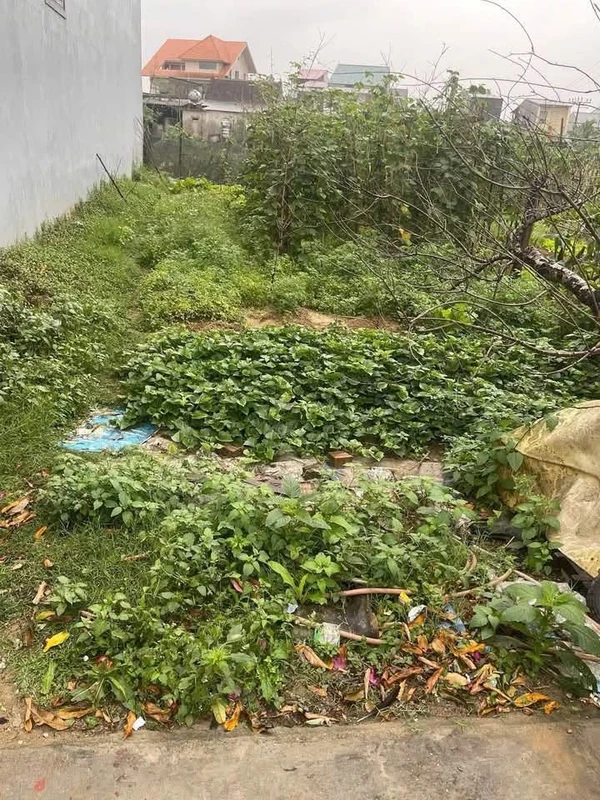 Bán đất tái định cư 100m2 Phượng Hoàng Vinh