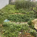 Bán đất tái định cư 100m2 Phượng Hoàng Vinh - Ảnh thu nhỏ 1