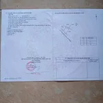 Bán lô đất thổ cư 7x13m giá 520 triệu gần QL50, ấp Ao Gòn, Tân Lân, Cần Đước - Ảnh thu nhỏ 5