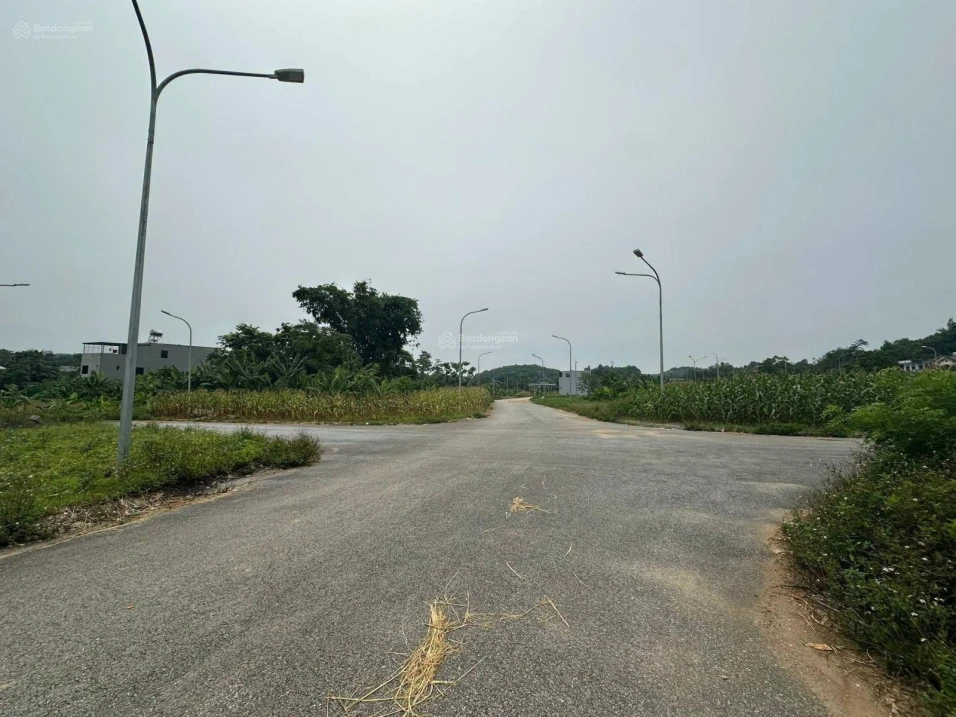 Bán đất đấu giá nhà nước tại An Tường - TP Tuyên Quang diện tích 200m2 thổ cư giá 3.2 tỷ có TL - Ảnh thu nhỏ 2