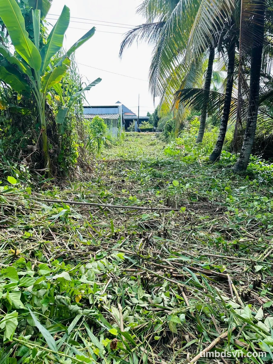 Bán đất nền 200m² lộ nhựa Mỹ Thuận, Bình Tân 390 triệu - Ảnh thu nhỏ 3