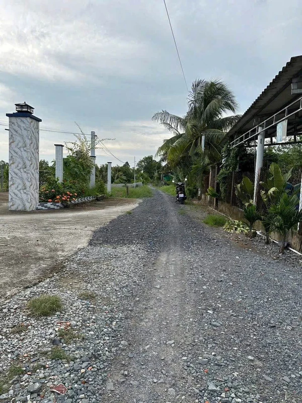 Bán 500m² đất lúa có thổ cư tại Tây Ninh, mặt tiền Thầy Bờ