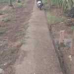 Bán đất lúa 2037m2 chuyển thổ được, 2 mặt tiền, giá 799 triệu tại Dương Xuân Hội, Châu Thành - Ảnh thu nhỏ 1
