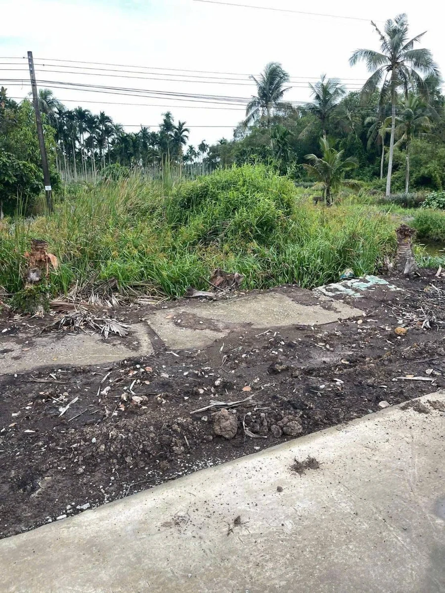 Bán 1.005m² đất vườn xã Châu Thành, An Giang giá 480 triệu - Ảnh thu nhỏ 4