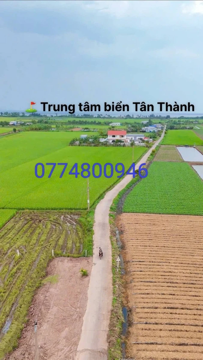 Bán đất Gò Công Đông 126m² mặt tiền biển 350 triệu - Ảnh thu nhỏ 2