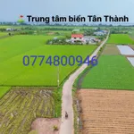 Bán đất Gò Công Đông 126m² mặt tiền biển 350 triệu - Ảnh thu nhỏ 2