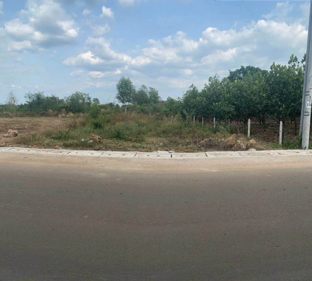 Bán nền đất 400m2 Long Khánh - Ảnh thu nhỏ 2