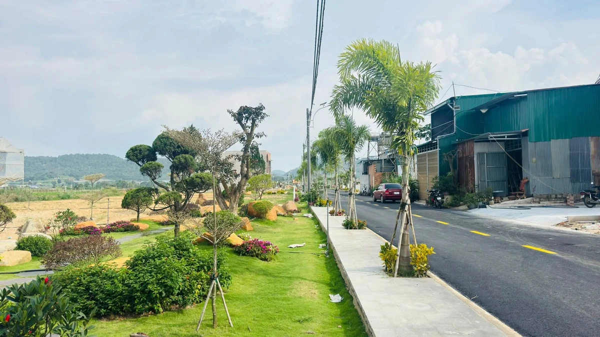 Bán lô đất 75m² tại Đức Trọng, giá 1 tỷ 650 triệu - Ảnh thu nhỏ 3