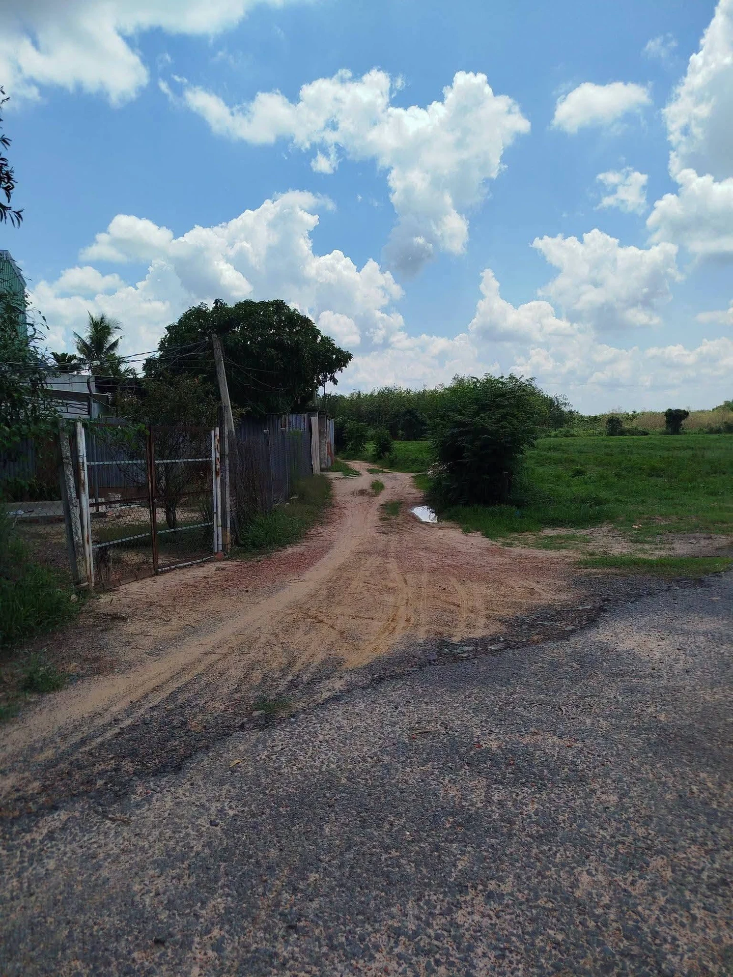 Bán đất Tân Biên 240m² giá 220 triệu - Ảnh 1