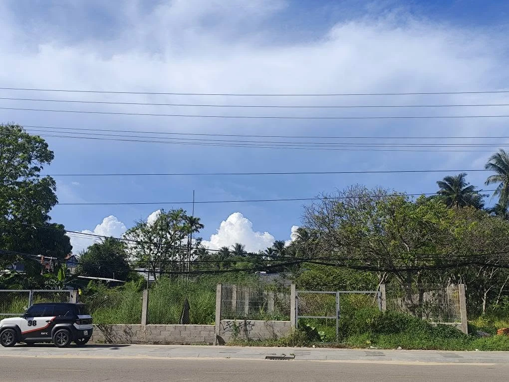 Bán lô mặt tiền Nguyễn Đình Chiểu Phan Thiết 1211m2, 20 tỷ - Ảnh 1