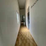 Bán nhà cấp 4, 2PN, 160m² ở Bình Chánh, 1 tỷ 450 - Ảnh thu nhỏ 2