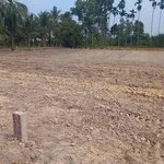 Bán đất 250m2 Tây Ninh 420 triệu - Ảnh thu nhỏ 1