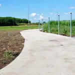 Bán đất Xã Láng Dài 670m² sổ hồng riêng 670 triệu - Ảnh thu nhỏ 4