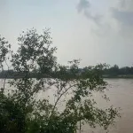 Bán đất Ngã Bảy Hậu Giang giá tốt - Ảnh thu nhỏ 17