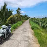 Bán đất cất nhà vườn 1.240m² có 200m² thổ cư tại Tây Ninh - Ảnh thu nhỏ 1