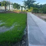 Bán đất thổ cư Long Hoà, Cần Dước 72-75m², 800 triệu/lô - Ảnh thu nhỏ 3
