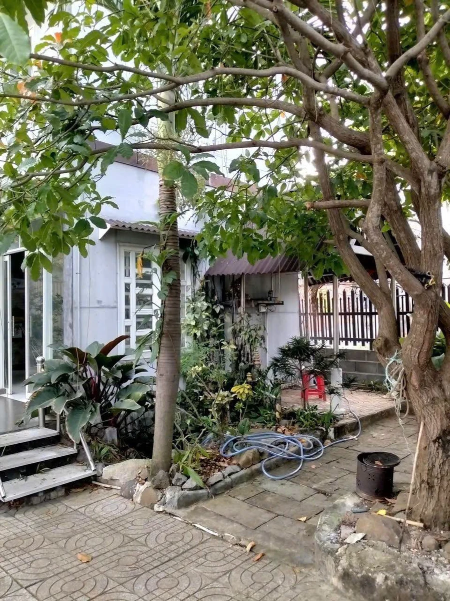 Bán nhà vườn Long Hải 250m² gần chợ, sân vườn rộng - Ảnh thu nhỏ 5