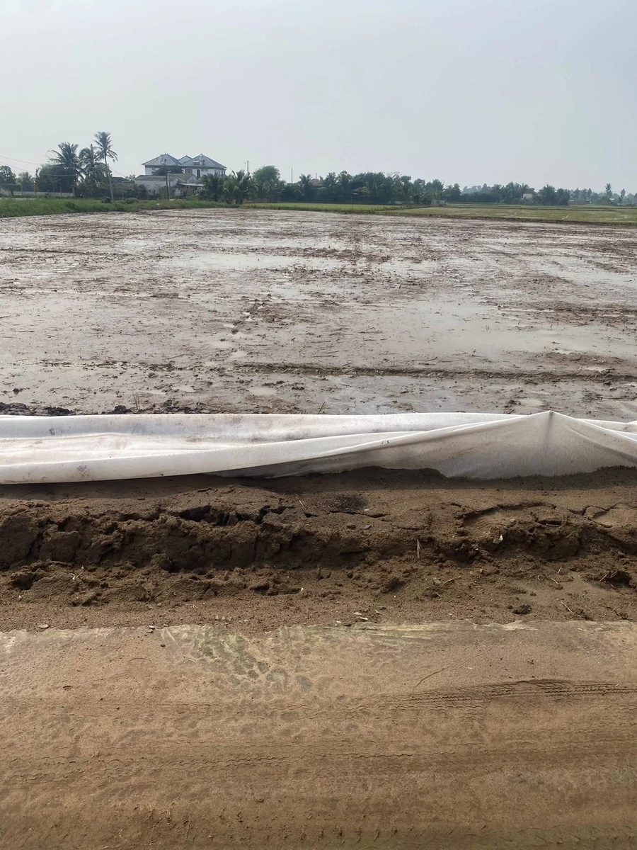 Bán đất thổ cư 5x23m (115m2) giá 395 triệu/lô tại xã Vàm Cỏ, Tây Ninh - Ảnh 1