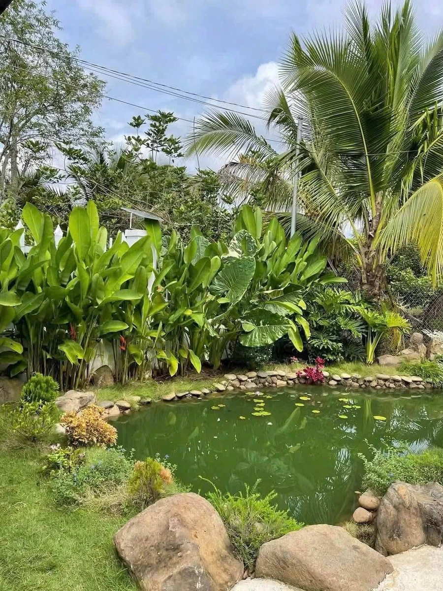 Bán đất vườn nghỉ dưỡng 1.457m² Đồng Nai 2 tỷ 350 - Ảnh thu nhỏ 5