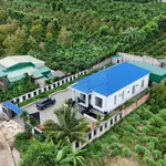 Nhà bán Xã Ea Klý Đắk Lắk 1.000m² giá 2 tỷ 650 triệu - Ảnh thu nhỏ 2