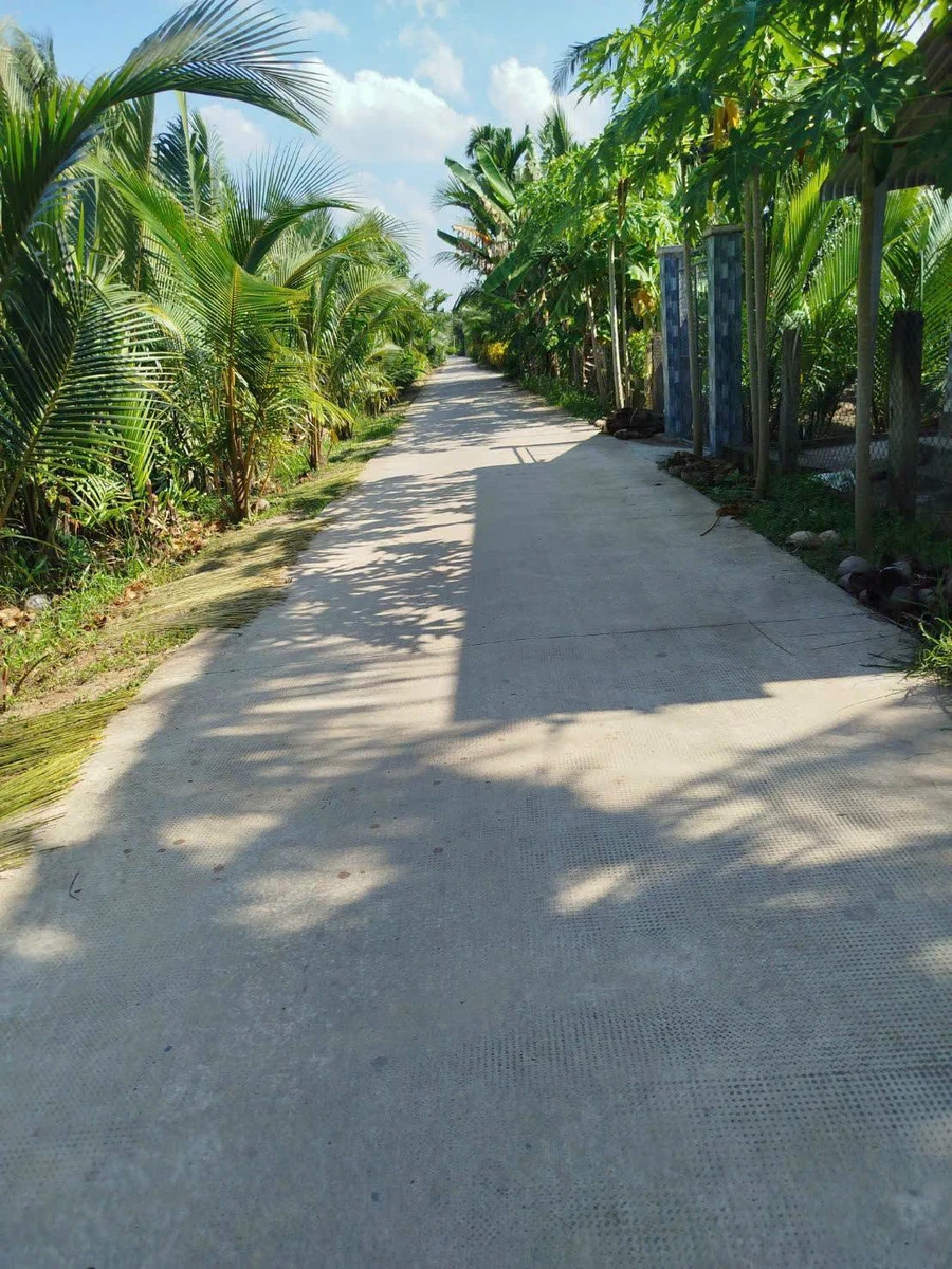 Bán vườn dừa 2378 m² Giồng Trôm, Bến Tre - Ảnh 1
