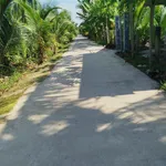 Bán vườn dừa 2378 m² Giồng Trôm, Bến Tre - Ảnh thu nhỏ 1