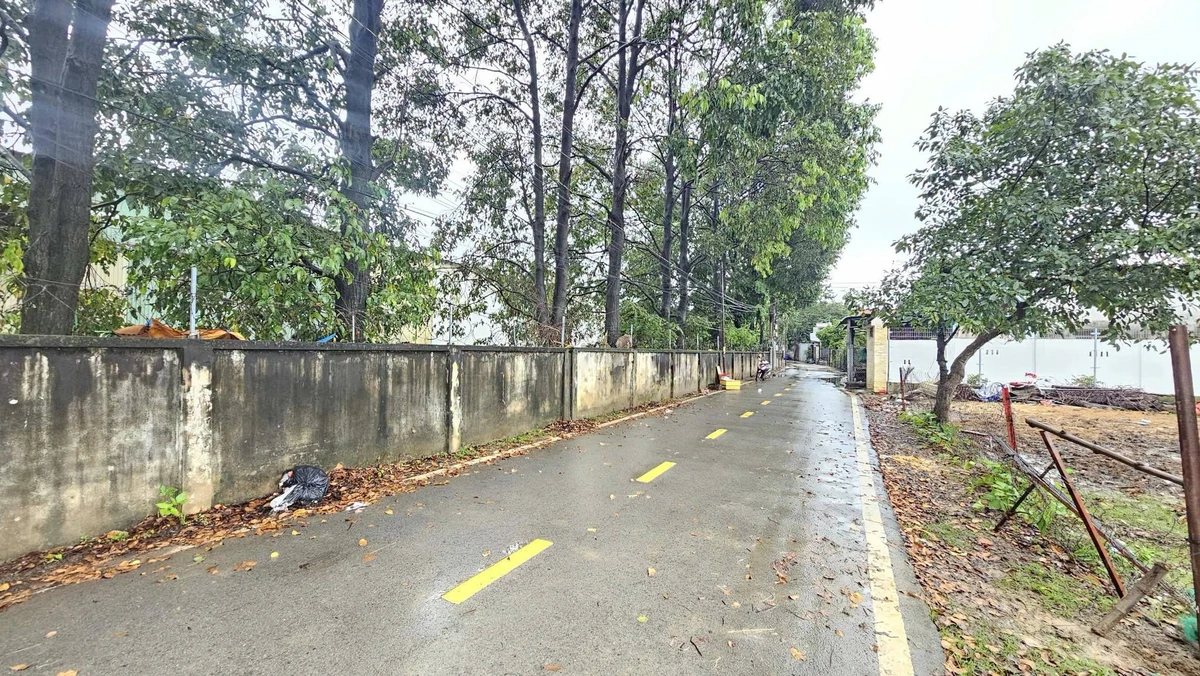 Bán đất 458m² Tân Uyên, kế FPT, giá 4 tỷ - Ảnh thu nhỏ 3