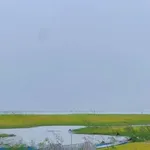 Bán đất vườn xoài 2.385m² La Ngà Đồng Nai - Ảnh thu nhỏ 3