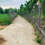 Bán đất 500m² có nhà cấp 4 gần chợ Nghĩa Kỳ - Ảnh thu nhỏ 2
