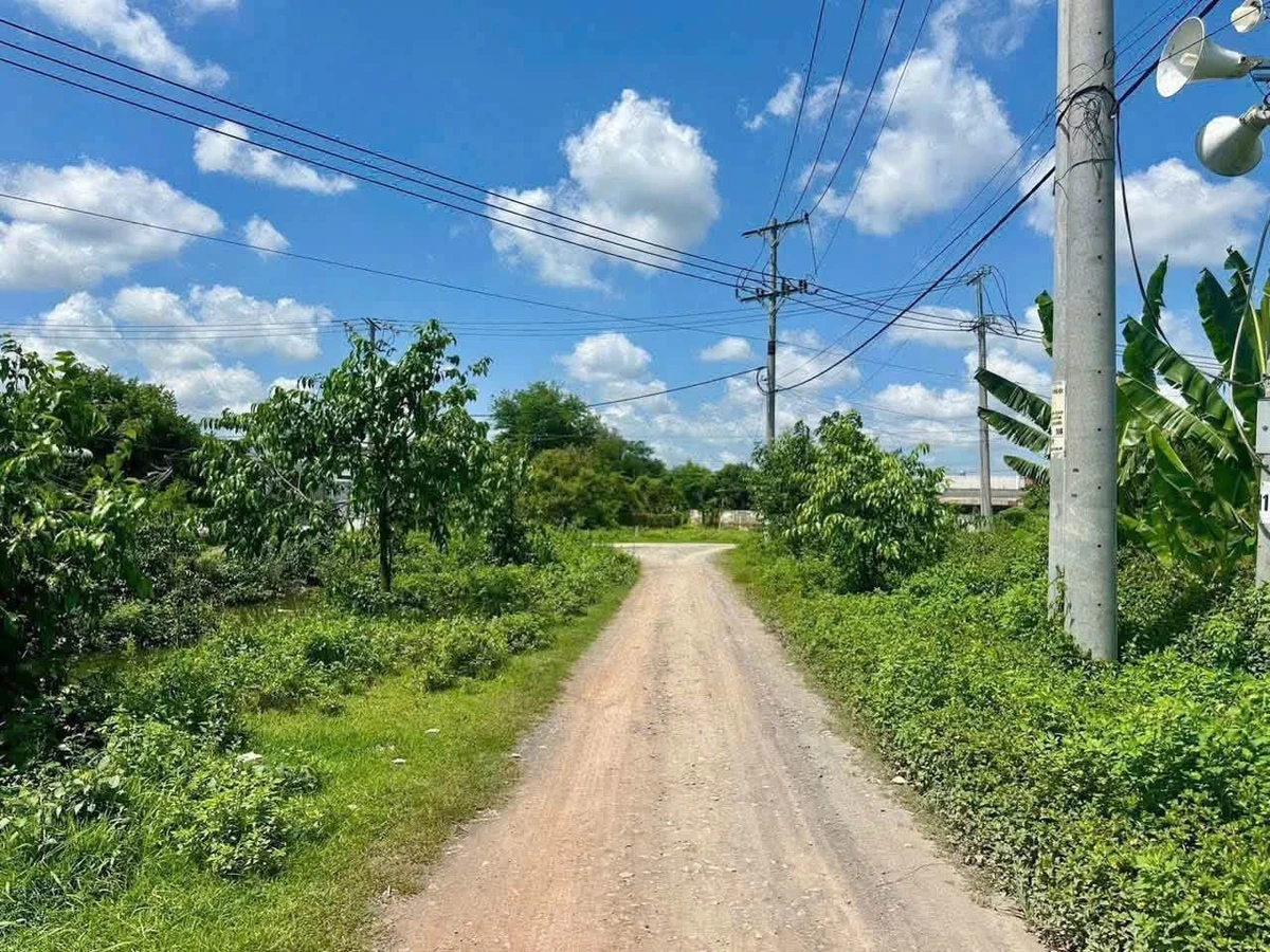 Bán 1 công đất thổ cư 1057m2 hẻm 141 TL827A, phường Long An, Tây Ninh - Ảnh thu nhỏ 3