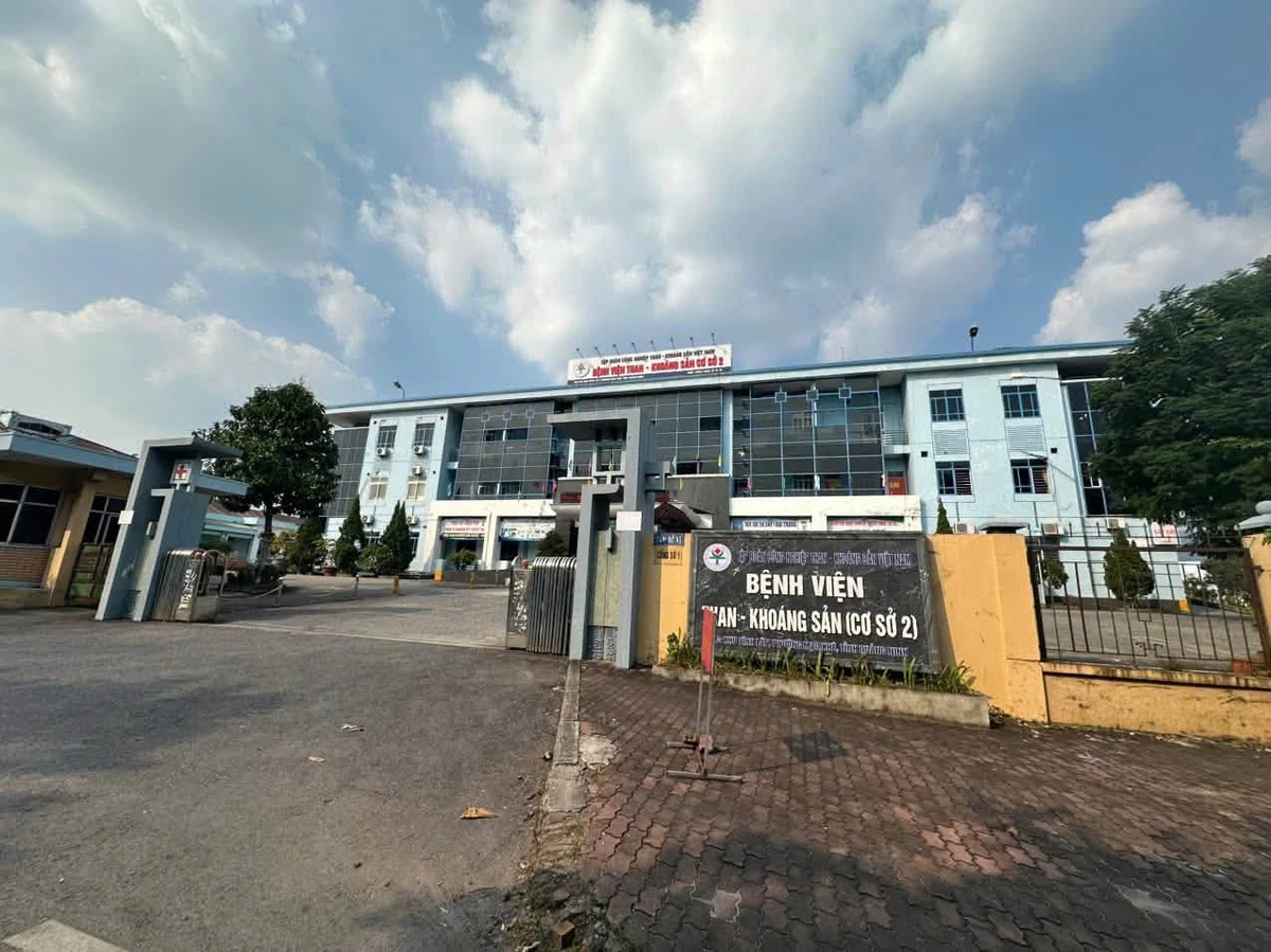 Bán đất nở hậu 172,5m² Mạo Khê, Quảng Ninh - Ảnh thu nhỏ 2